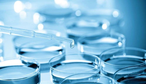 專利變現(xiàn)還是技術(shù)突圍？熱景生物科創(chuàng)板IVD首秀背后的市場考驗(yàn)